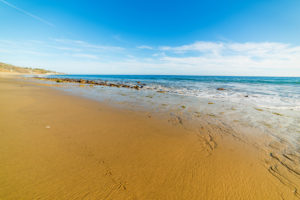 Malibu, sanctuary city